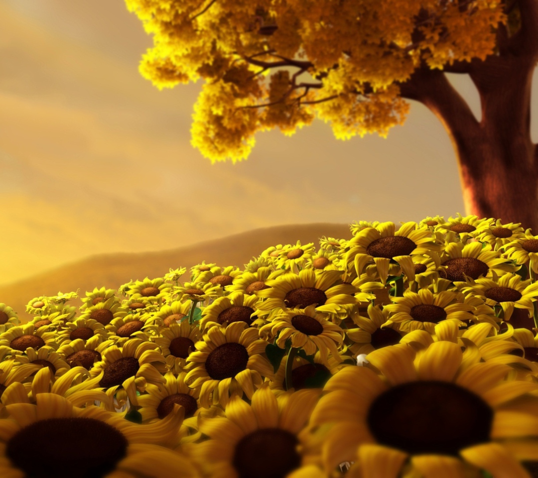 Обои Sunflower World 1080x960