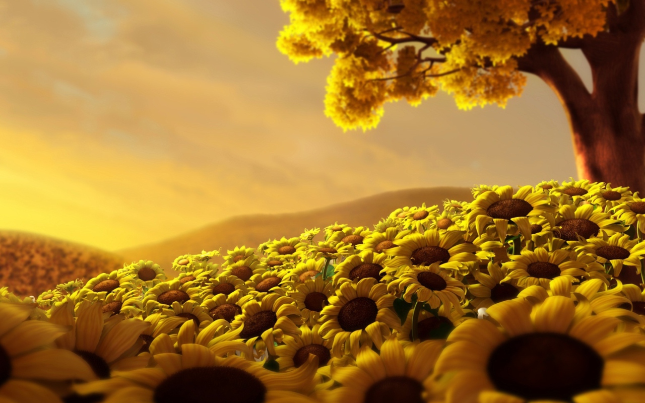 Fondo de pantalla Sunflower World 1280x800