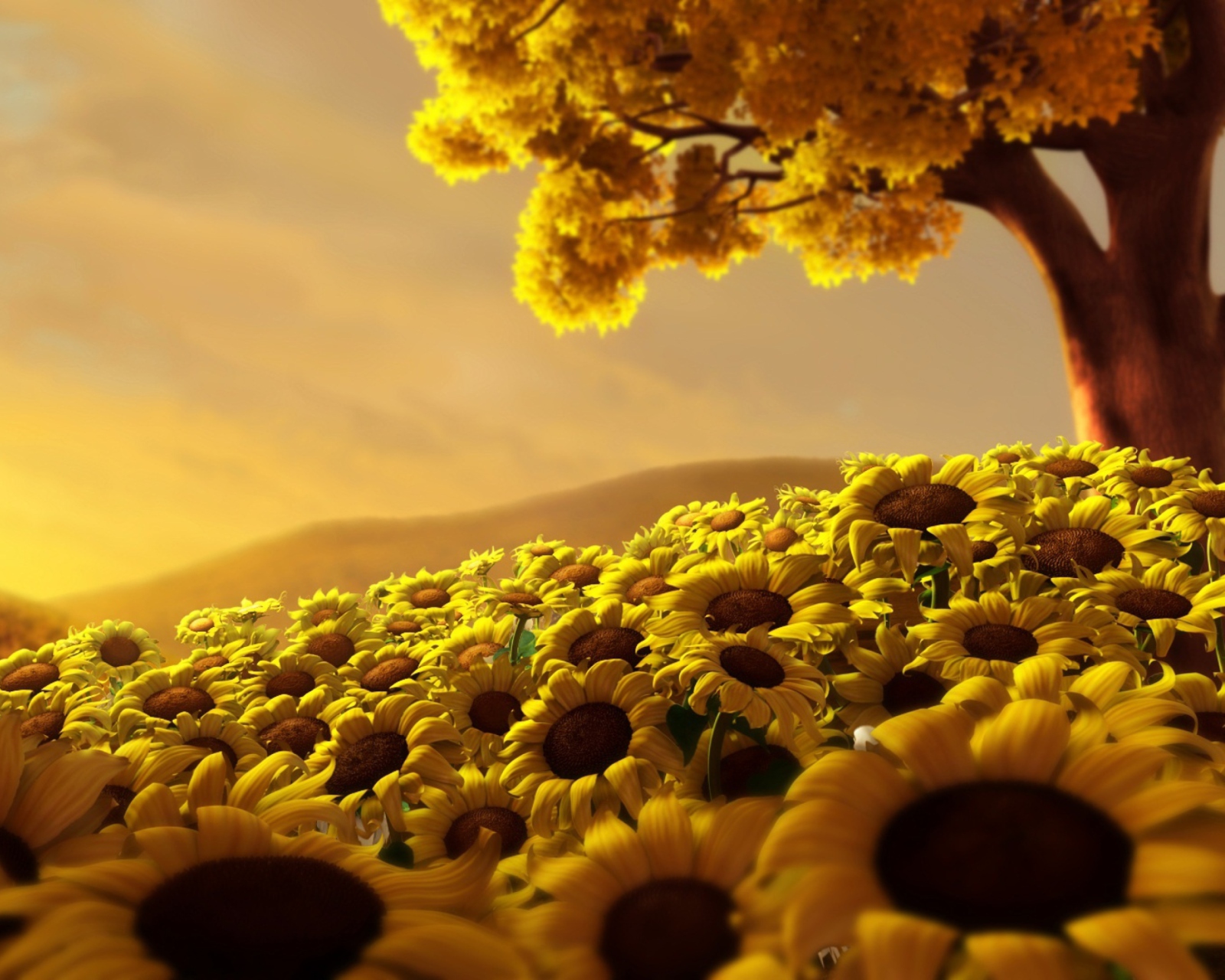 Sfondi Sunflower World 1600x1280