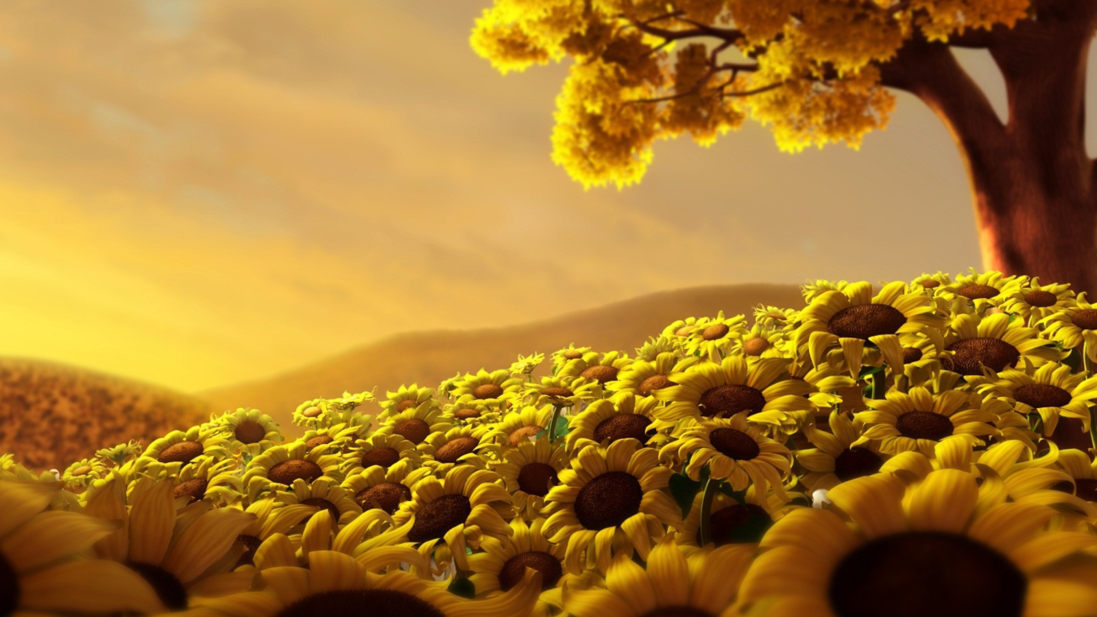 Обои Sunflower World 1600x900