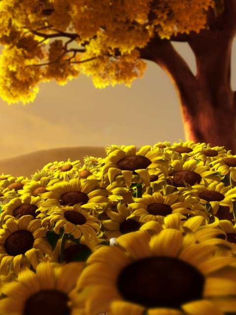 Fondo de pantalla Sunflower World 480x640