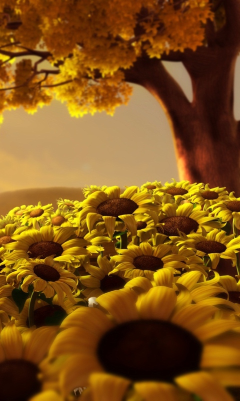 Fondo de pantalla Sunflower World 480x800