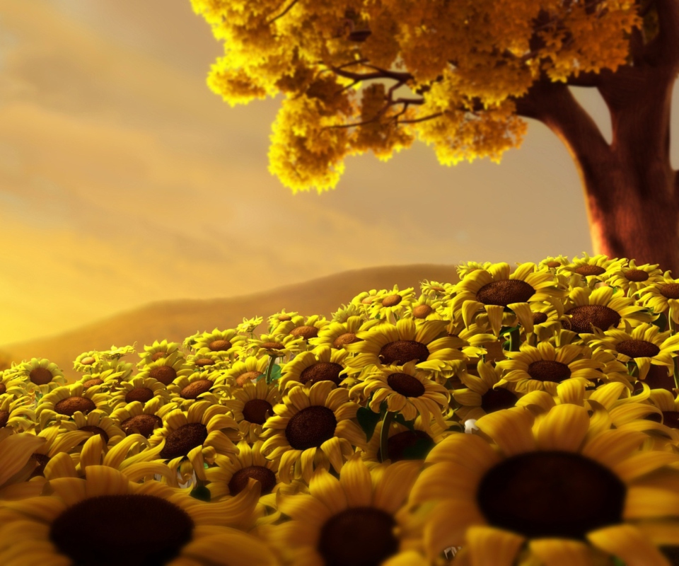 Fondo de pantalla Sunflower World 960x800