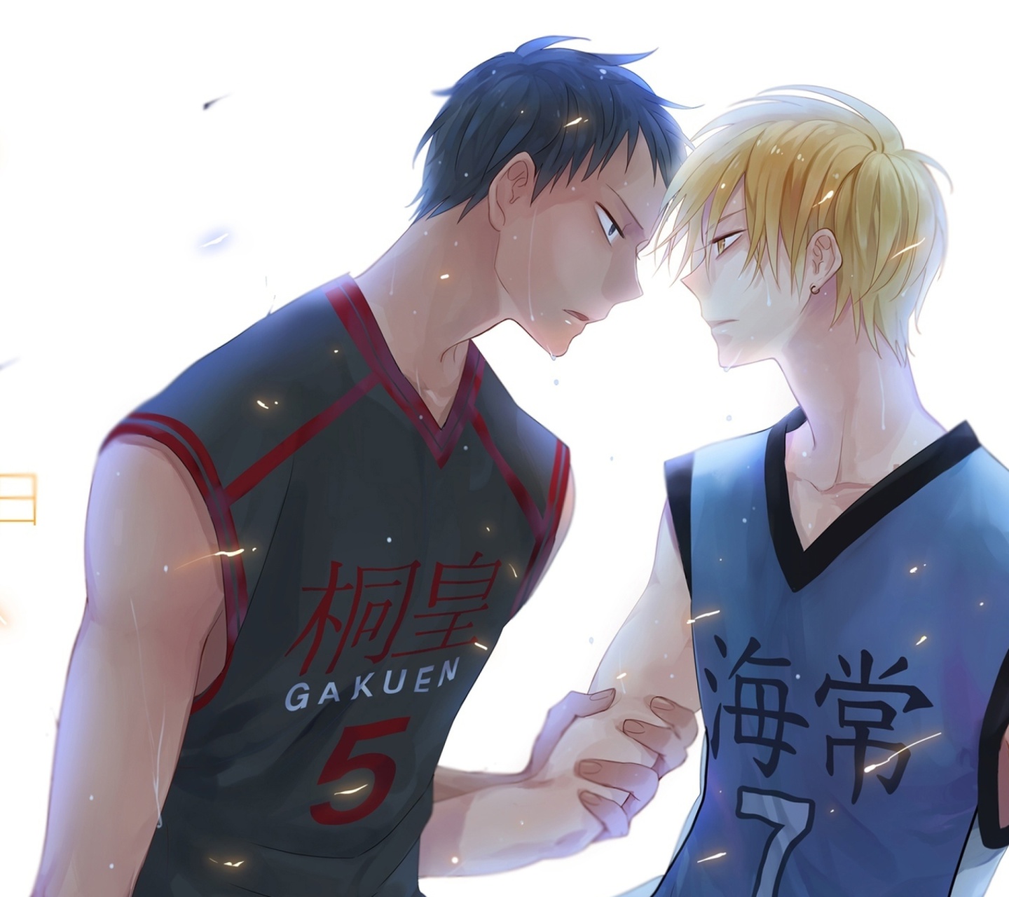 Kurokos Basketball wallpaper 1440x1280