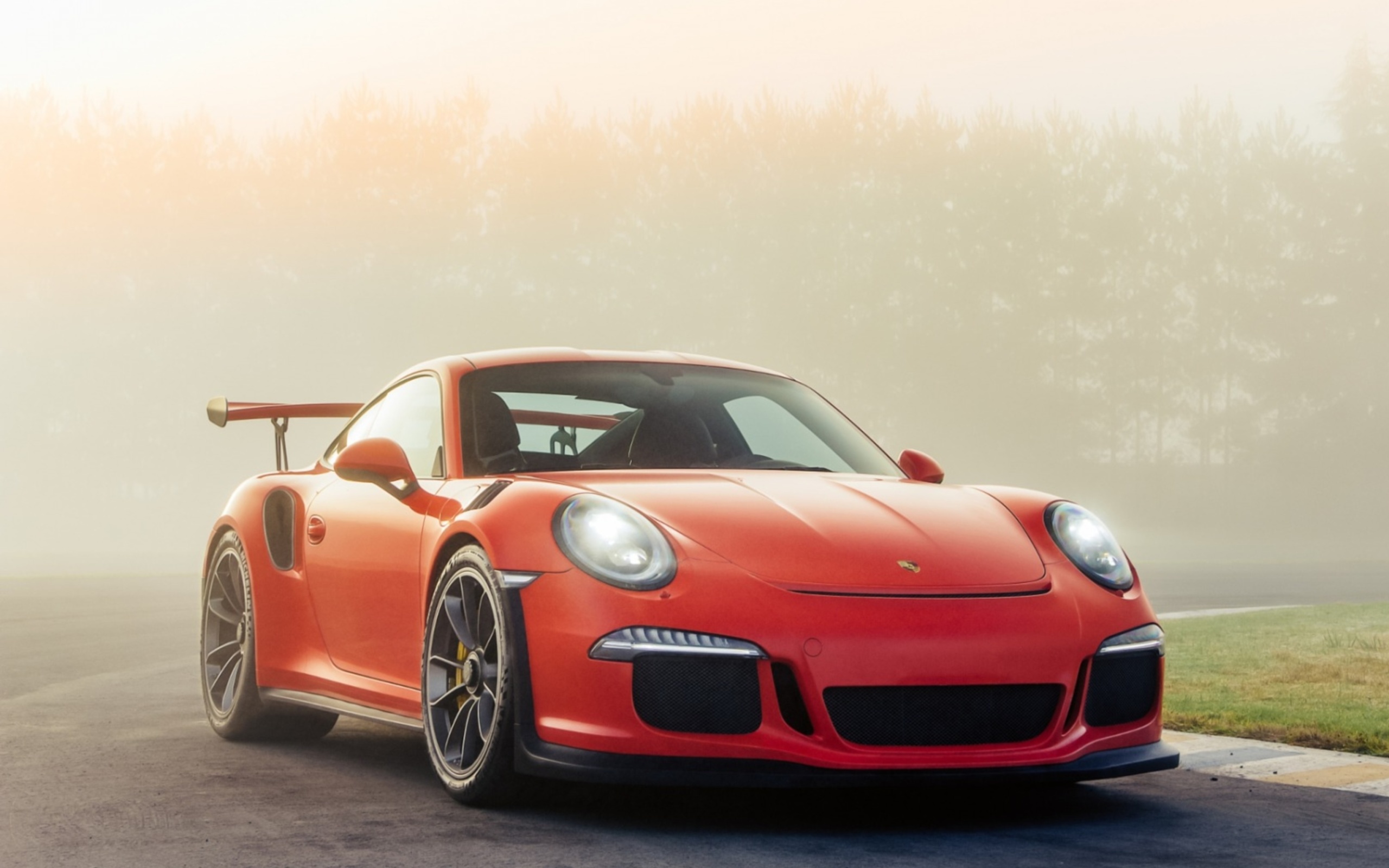 Porsche 911 GT3 RS screenshot #1 2560x1600