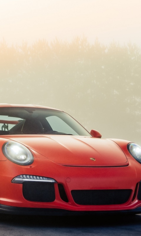 Screenshot №1 pro téma Porsche 911 GT3 RS 480x800