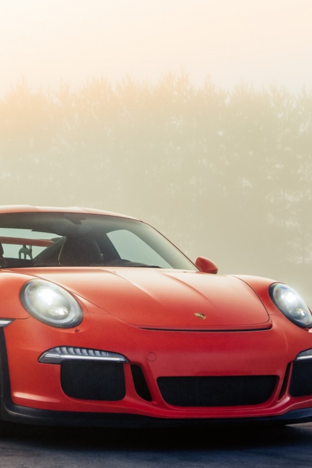 Screenshot №1 pro téma Porsche 911 GT3 RS 640x960