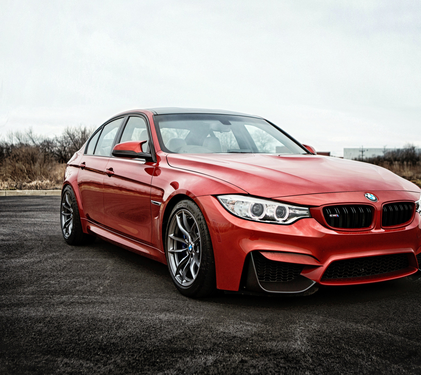 BMW F80 M3 screenshot #1 1440x1280