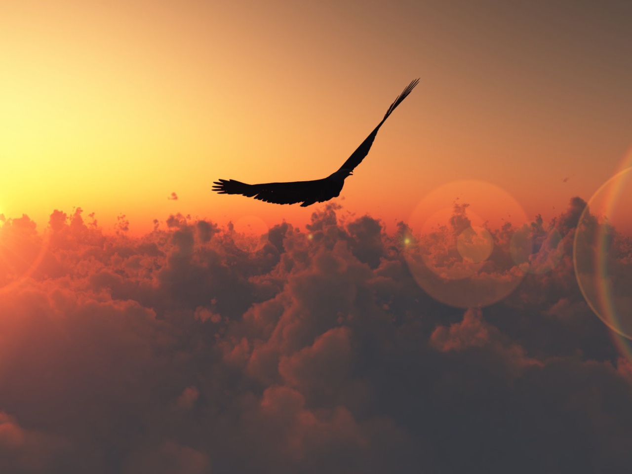 Hawk Flying High screenshot #1 1280x960