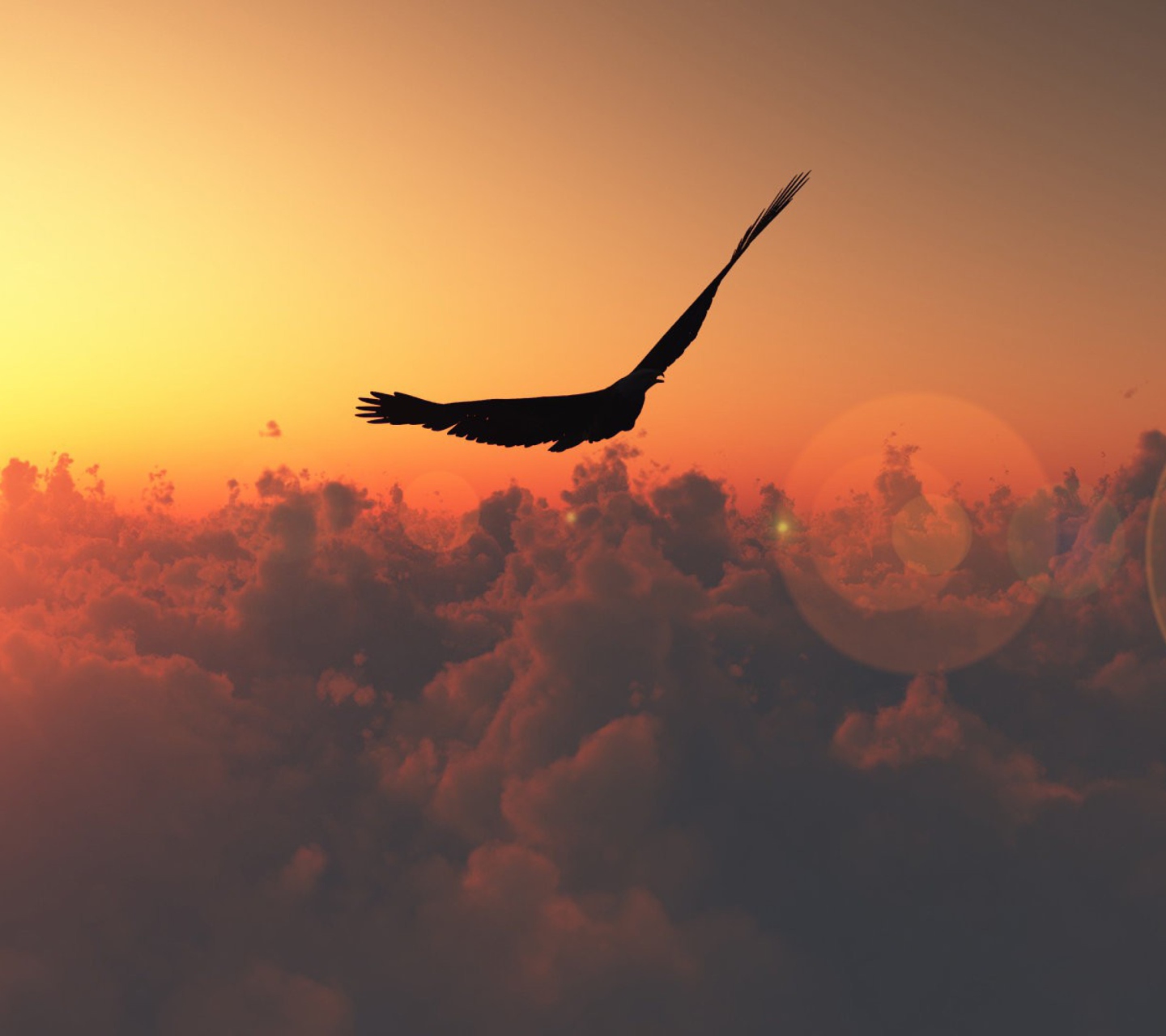 Hawk Flying High screenshot #1 1440x1280
