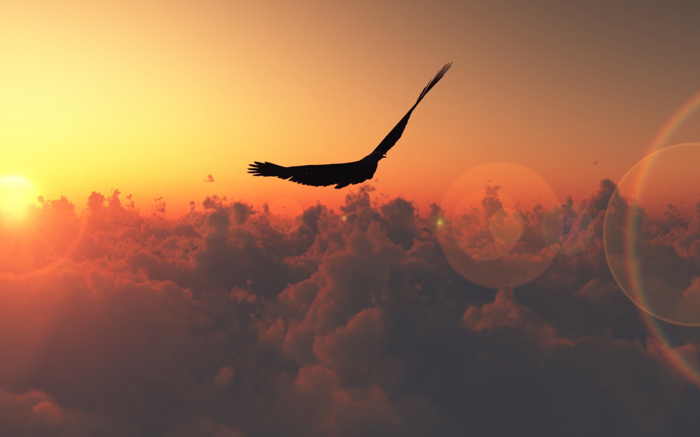 Hawk Flying High screenshot #1 1440x900