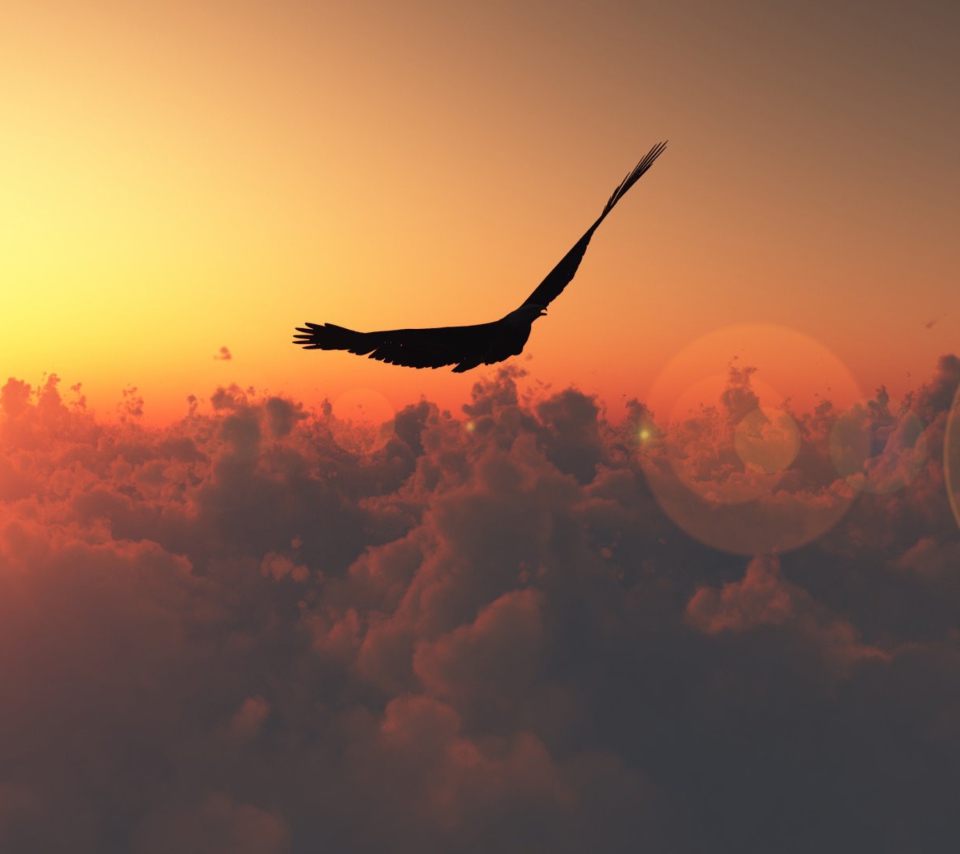 Hawk Flying High screenshot #1 960x854