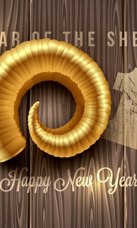 2015 New Year wallpaper 480x800