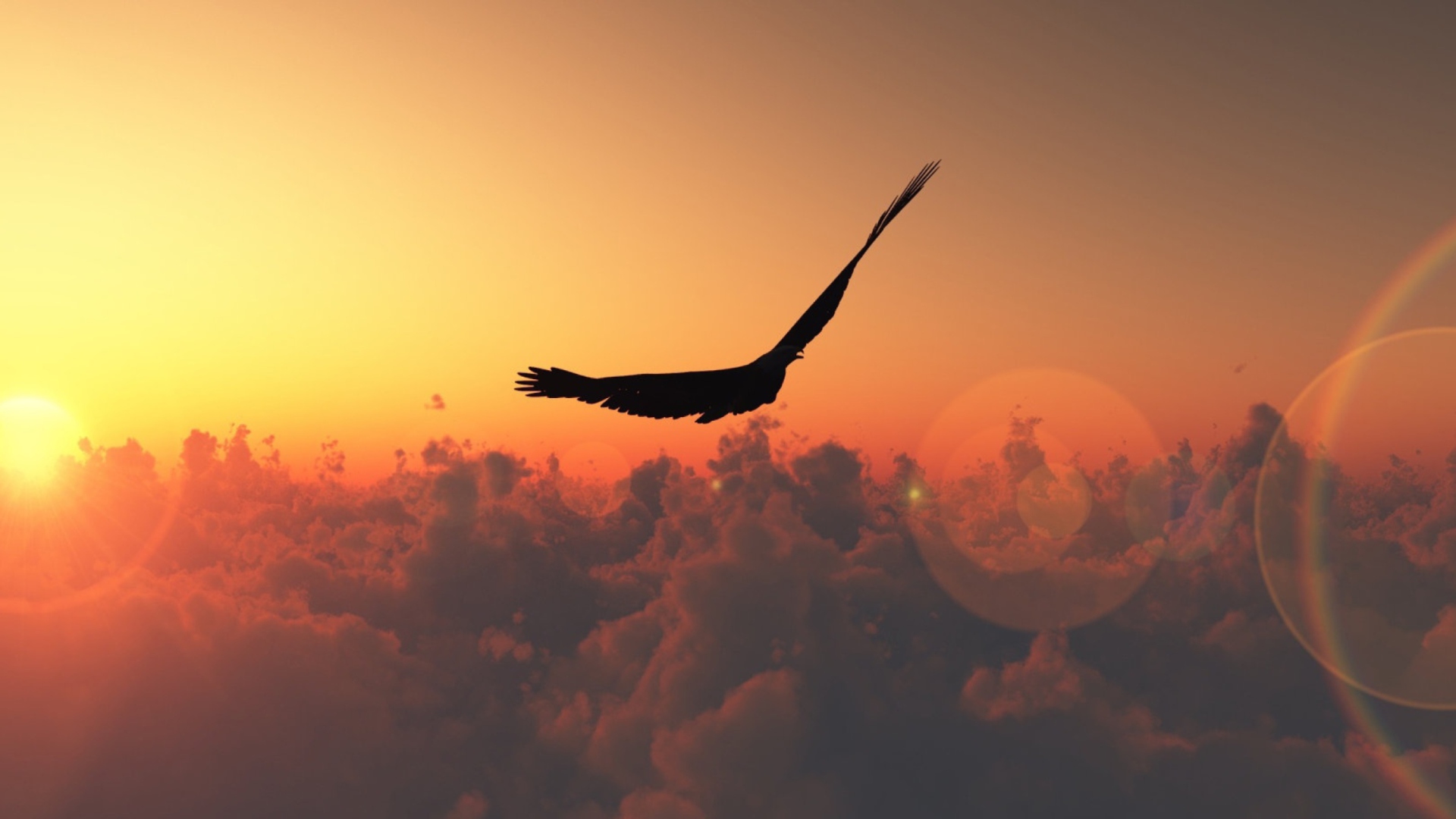 Bird Flight screenshot #1 1920x1080