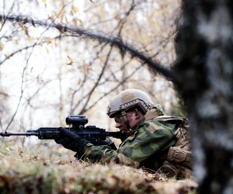 Обои Norwegian Army Soldier 480x400