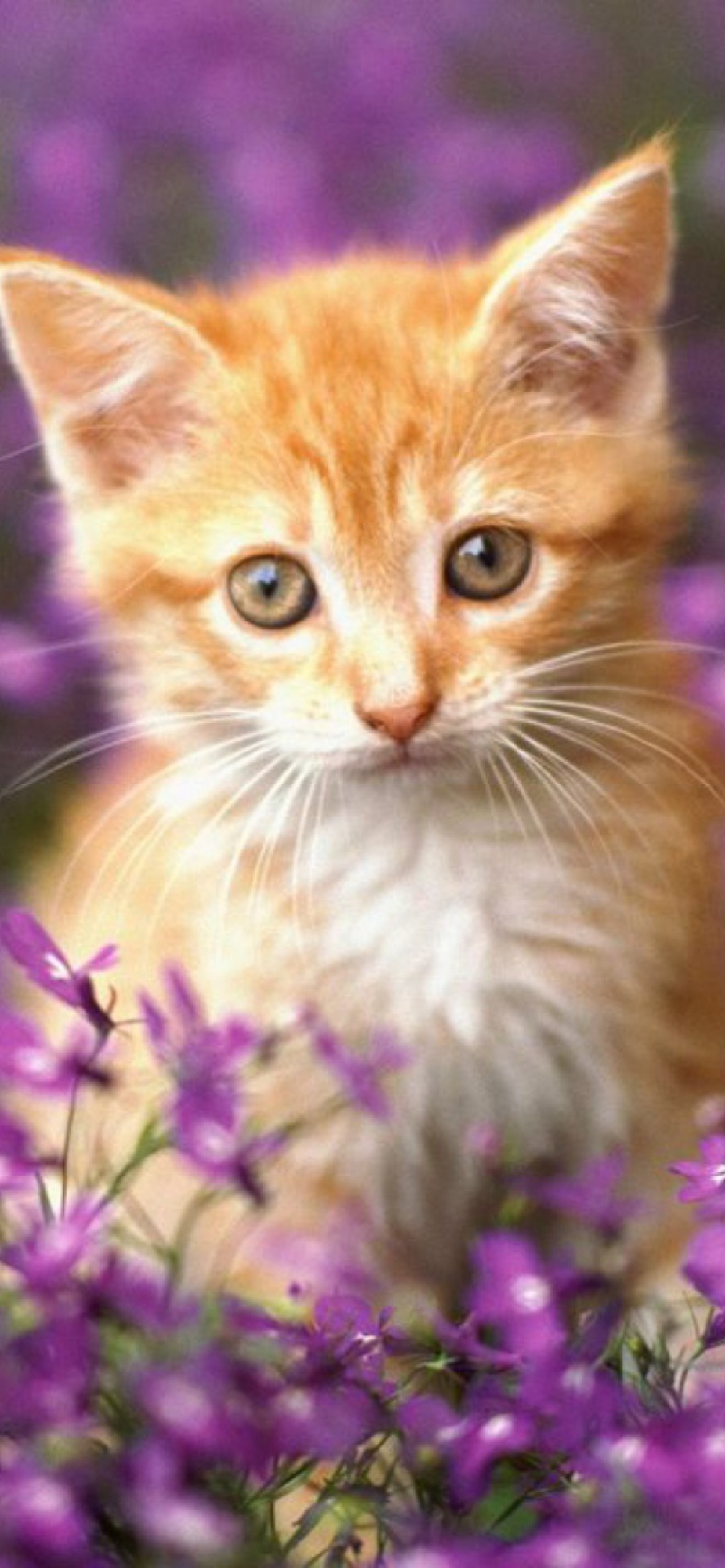 Sweet Kitten In Flower Field wallpaper 1170x2532