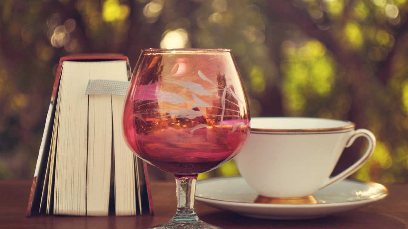 Fondo de pantalla Perfect day with wine and book 1366x768