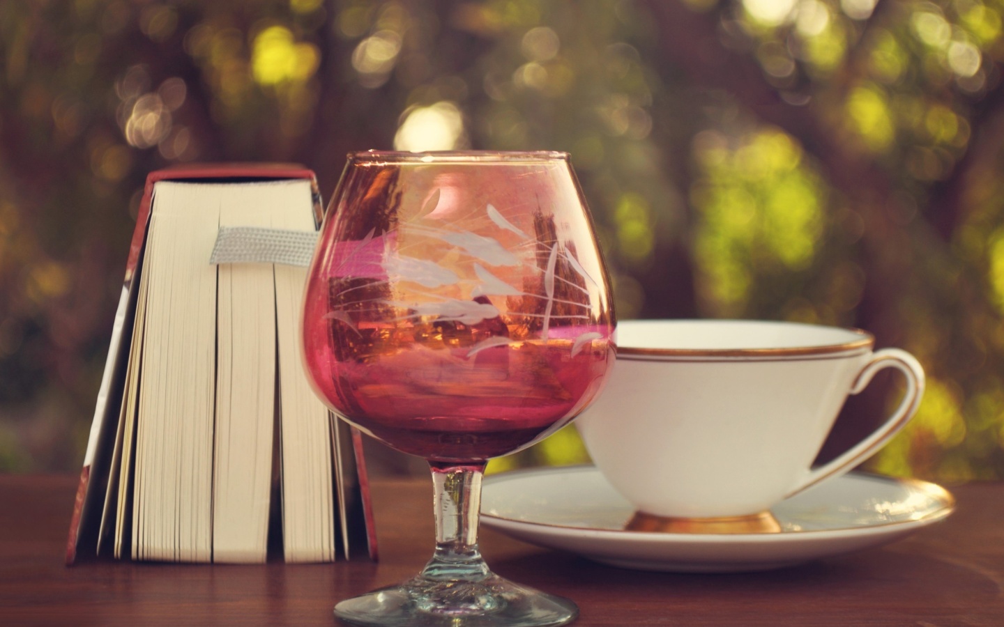 Fondo de pantalla Perfect day with wine and book 1440x900