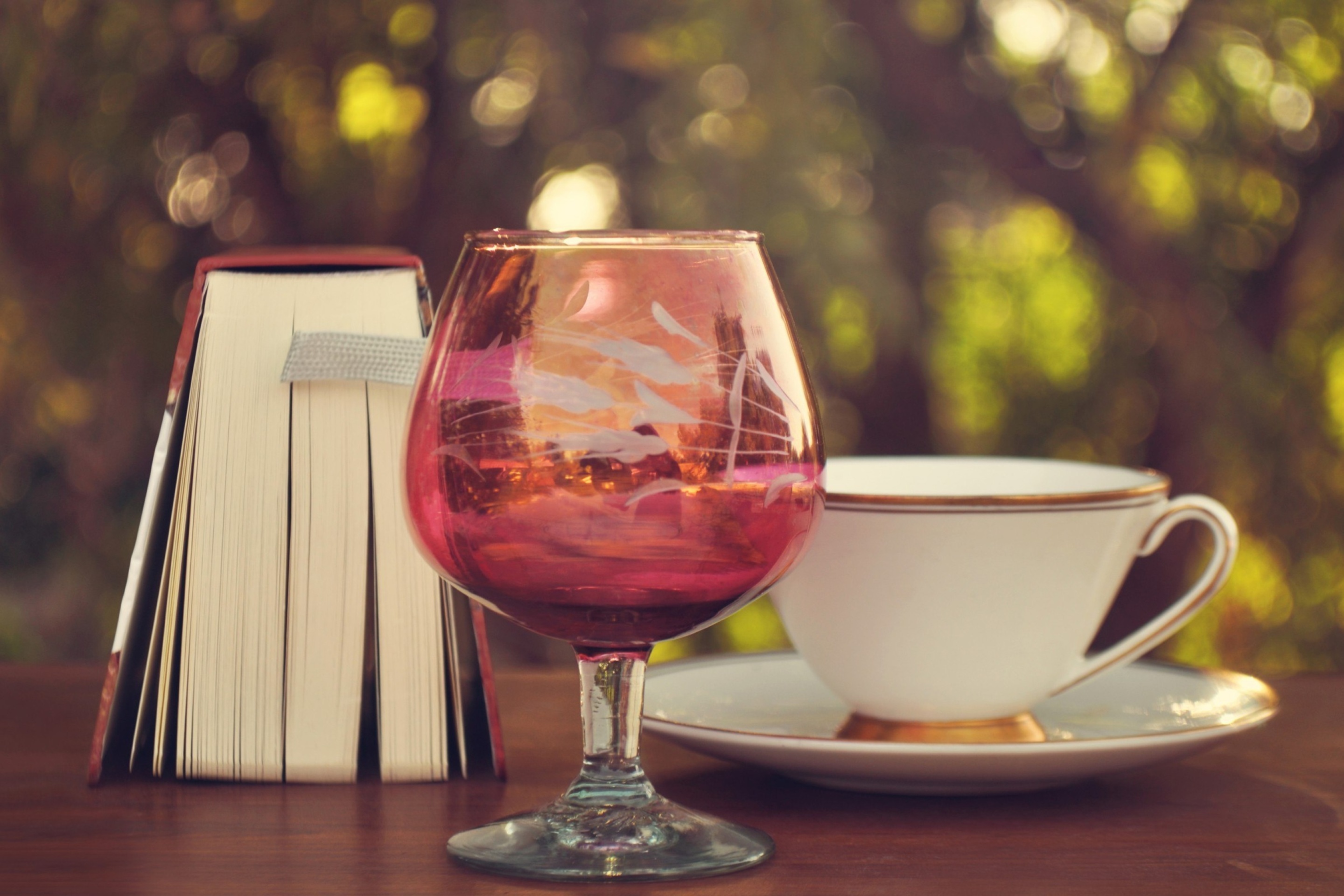 Обои Perfect day with wine and book 2880x1920