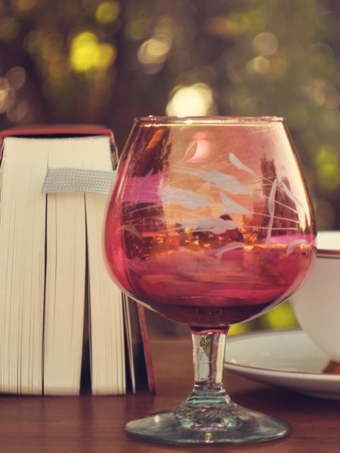 Fondo de pantalla Perfect day with wine and book 480x640