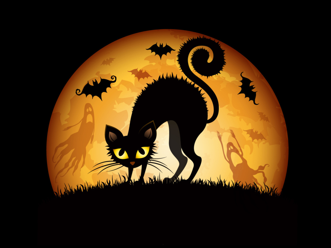 Scary Black Cat wallpaper 1152x864