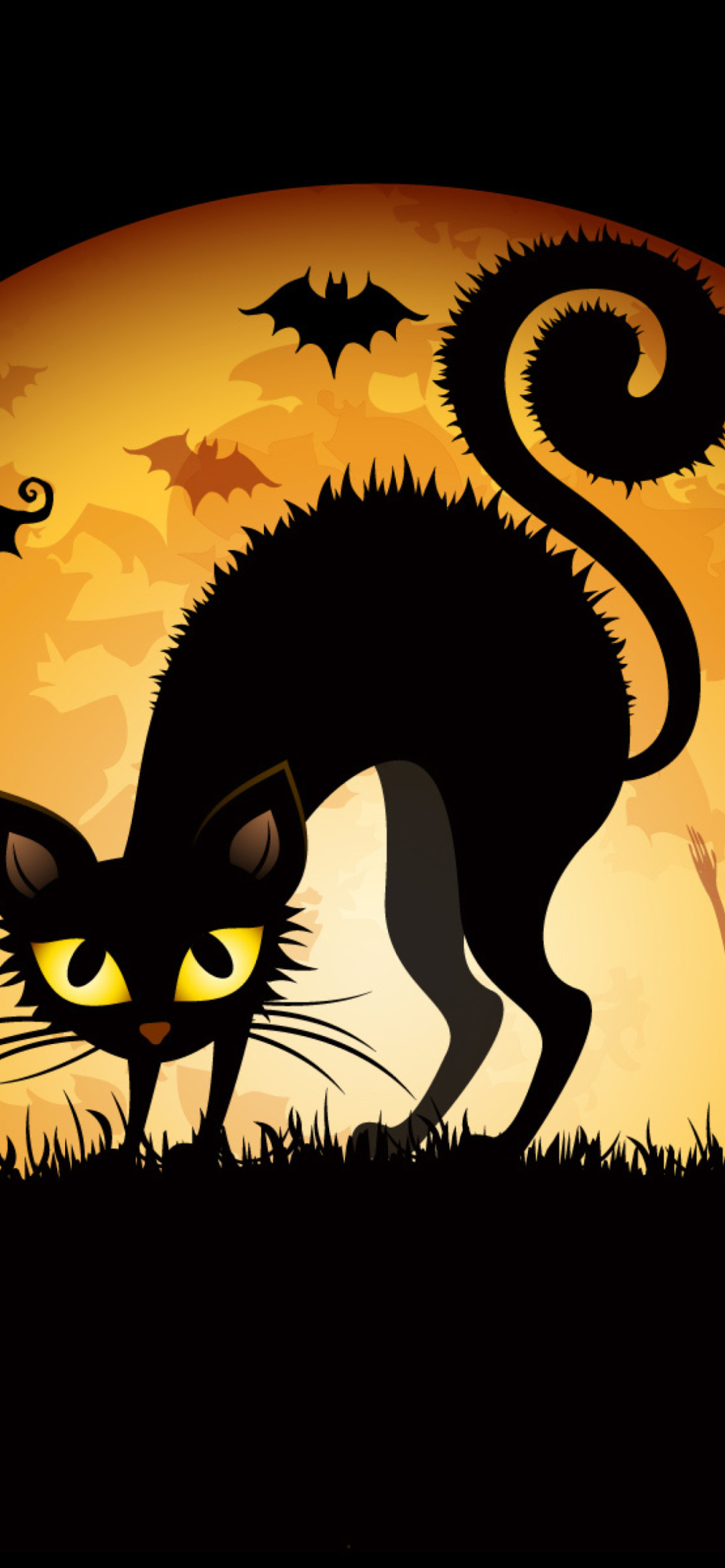 Scary Black Cat wallpaper 1170x2532