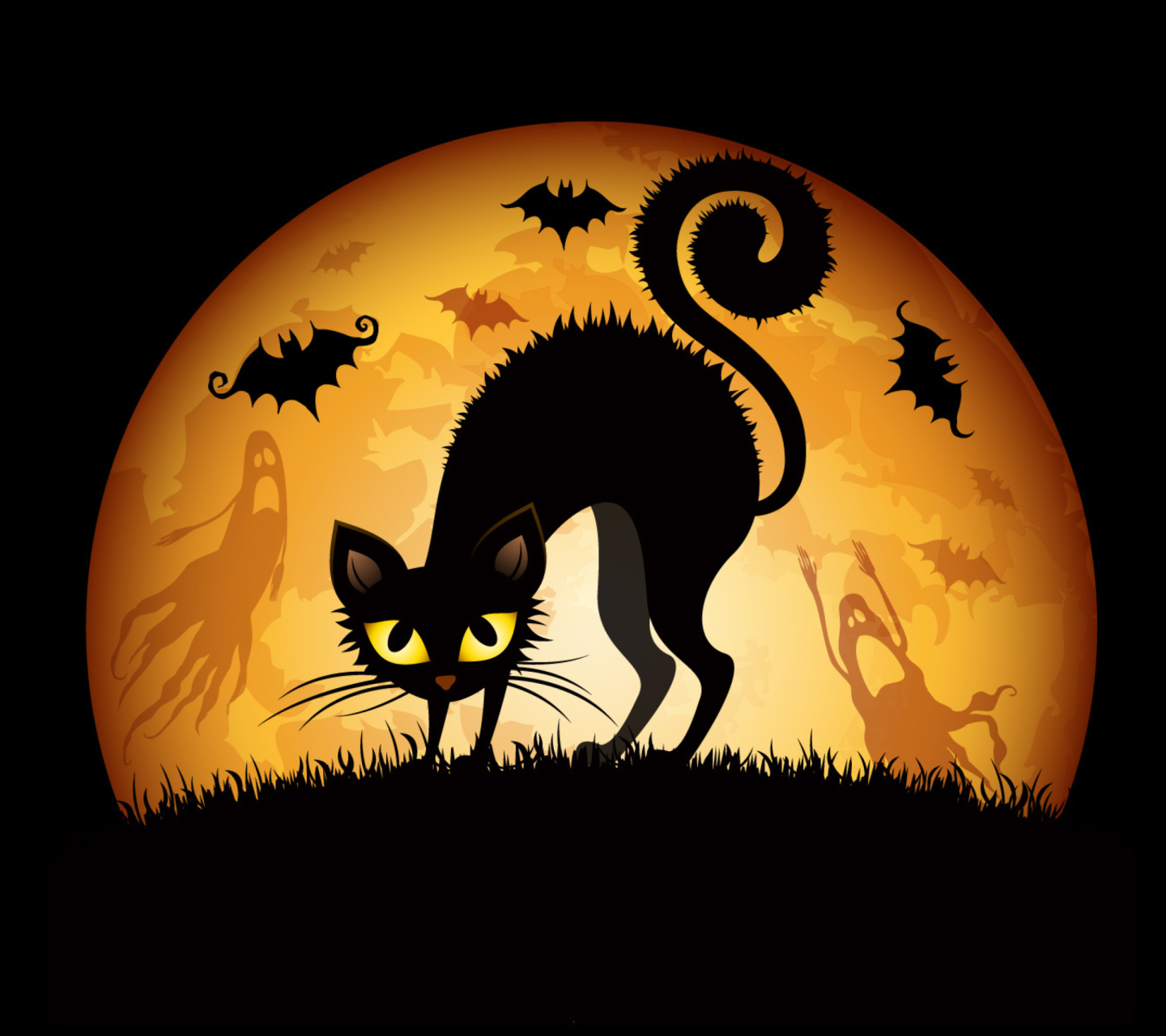 Обои Scary Black Cat 1440x1280