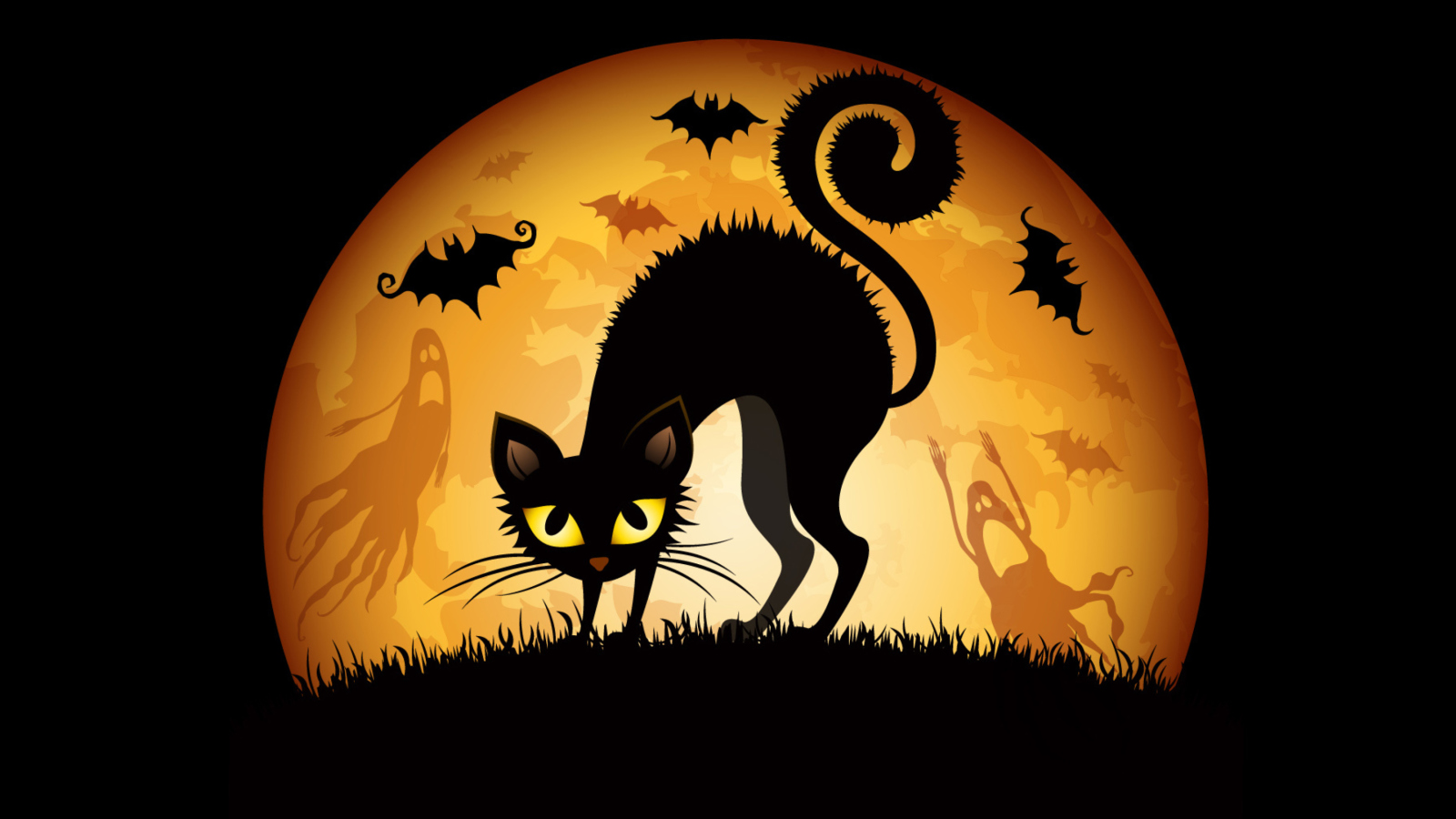 Scary Black Cat wallpaper 1600x900