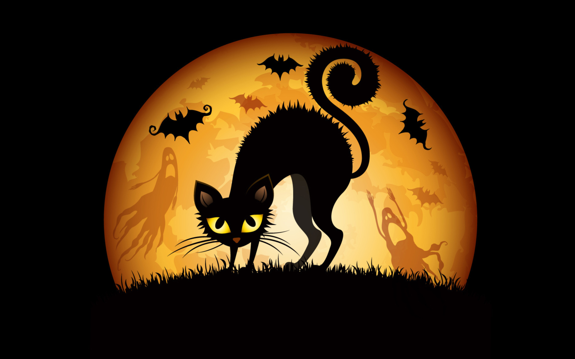 Scary Black Cat wallpaper 1920x1200