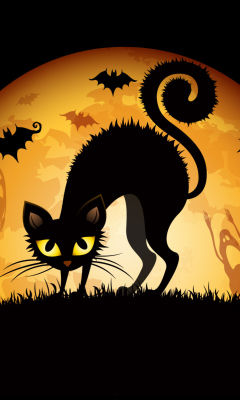 Fondo de pantalla Scary Black Cat 240x400
