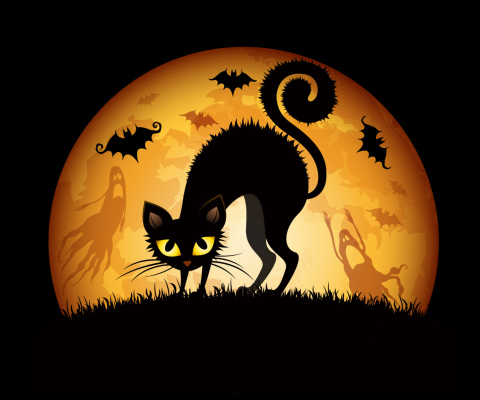 Das Scary Black Cat Wallpaper 480x400