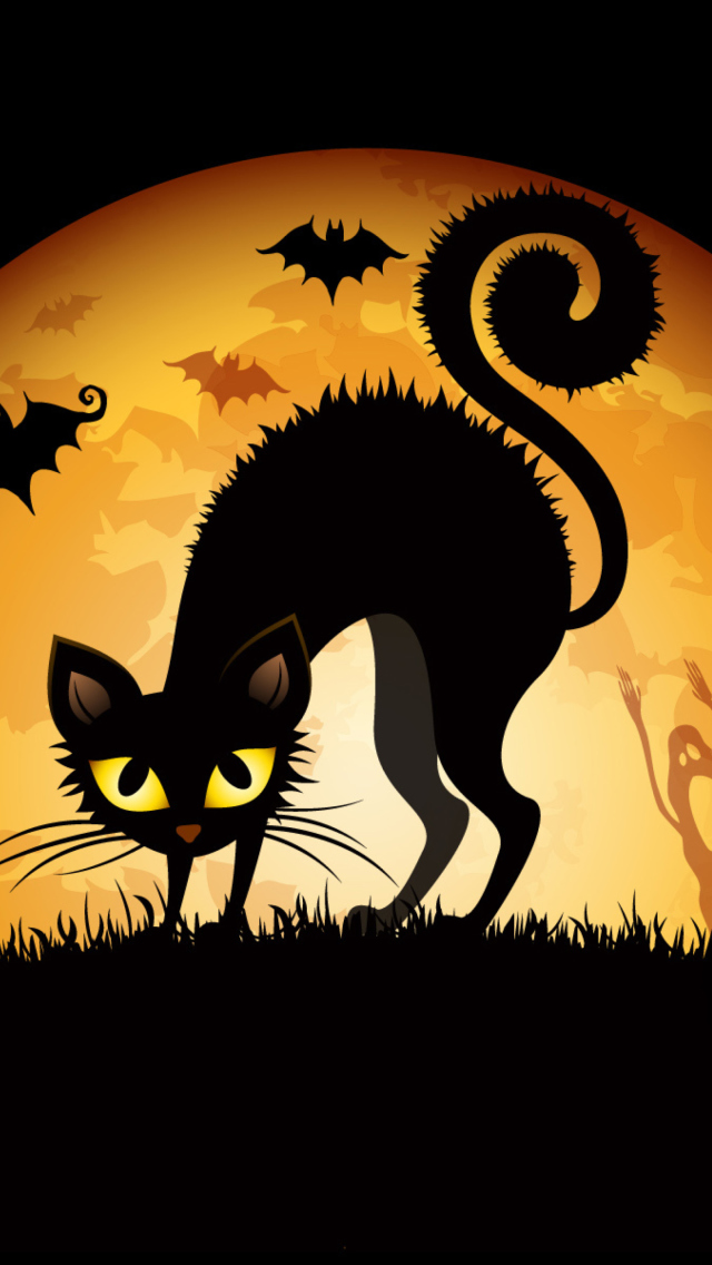 Scary Black Cat wallpaper 640x1136