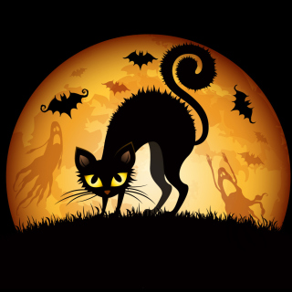 Обои Scary Black Cat для телефона и на рабочий стол 208x208