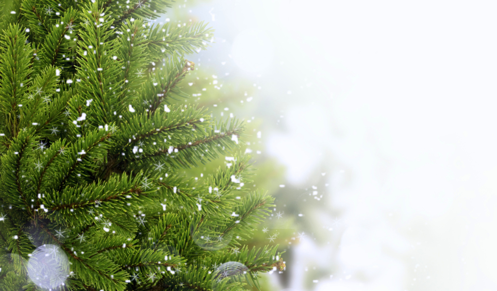 Fondo de pantalla Christmas Tree And Snow 1024x600