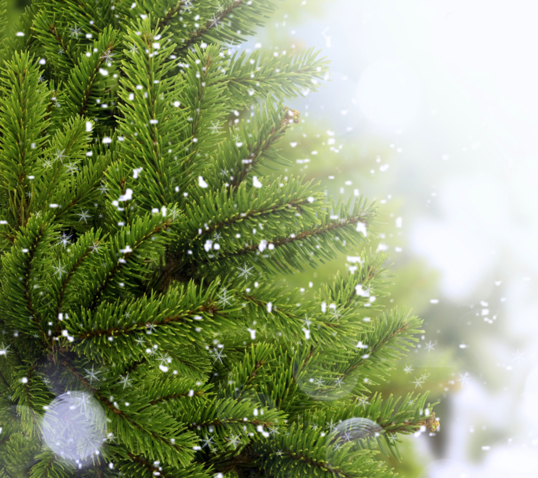 Das Christmas Tree And Snow Wallpaper 1080x960