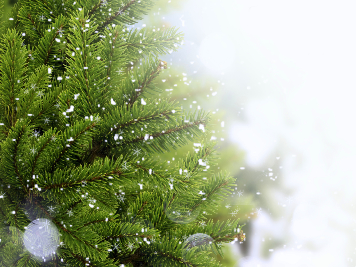 Das Christmas Tree And Snow Wallpaper 1152x864