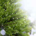 Das Christmas Tree And Snow Wallpaper 128x128