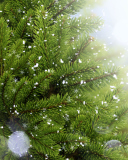 Das Christmas Tree And Snow Wallpaper 128x160