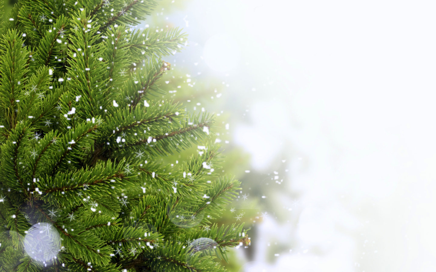 Das Christmas Tree And Snow Wallpaper 1440x900