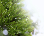 Das Christmas Tree And Snow Wallpaper 176x144