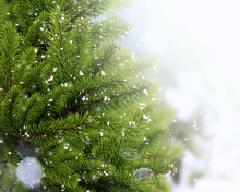 Das Christmas Tree And Snow Wallpaper 220x176