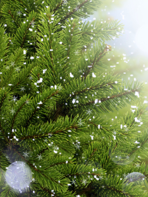 Fondo de pantalla Christmas Tree And Snow 480x640