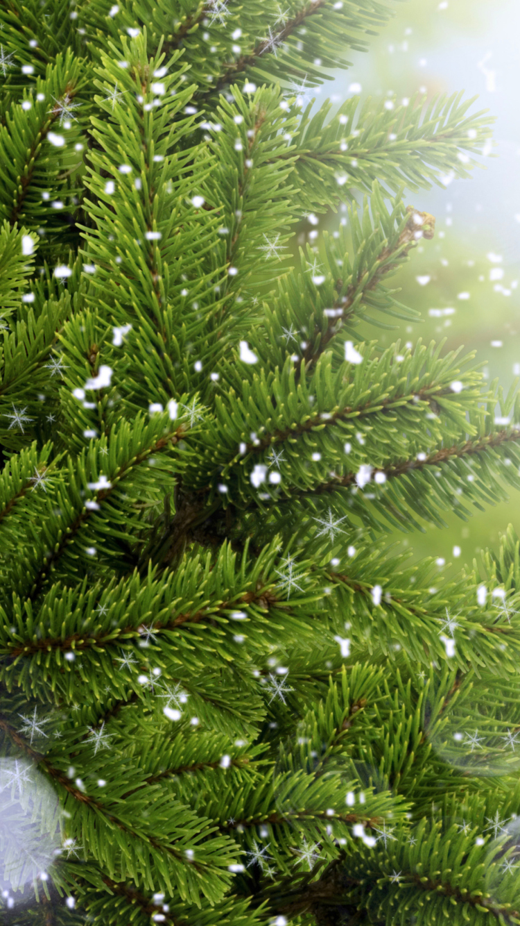 Das Christmas Tree And Snow Wallpaper 750x1334