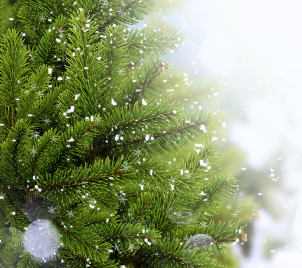 Обои Christmas Tree And Snow 960x854