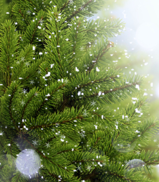 Kostenloses Christmas Tree And Snow Wallpaper für Samsung T*Omnia