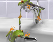 Обои Froggy 220x176