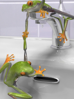 Sfondi Froggy 240x320