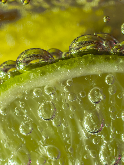 Das Green Lime Bubbles Wallpaper 480x640