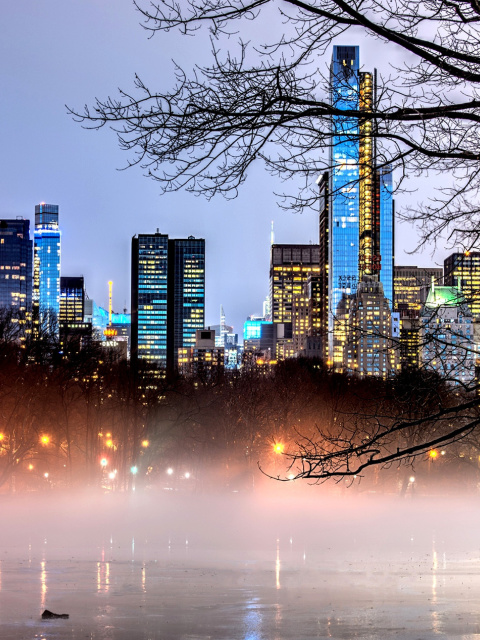New York Central Park screenshot #1 480x640