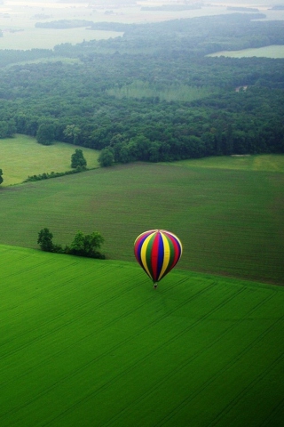 Das Balloon And Beautiful Landscape Wallpaper 320x480